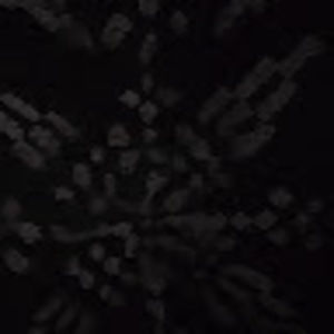 Meet your Posher, Cora